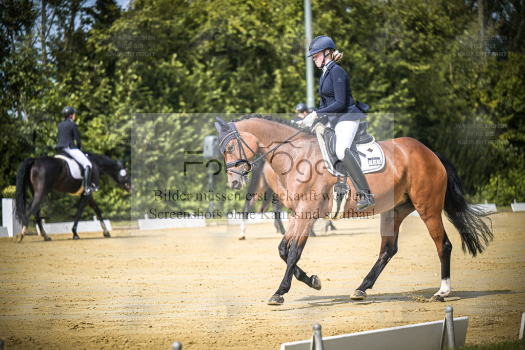 DOS_4845 | Entdecke hochwertige Reitturnierfotos von Foto Oger. Professionell, emotional und authentisch – jetzt Lieblingsmomente im Shop bestellen. - Realisiert mit Pictrs.com