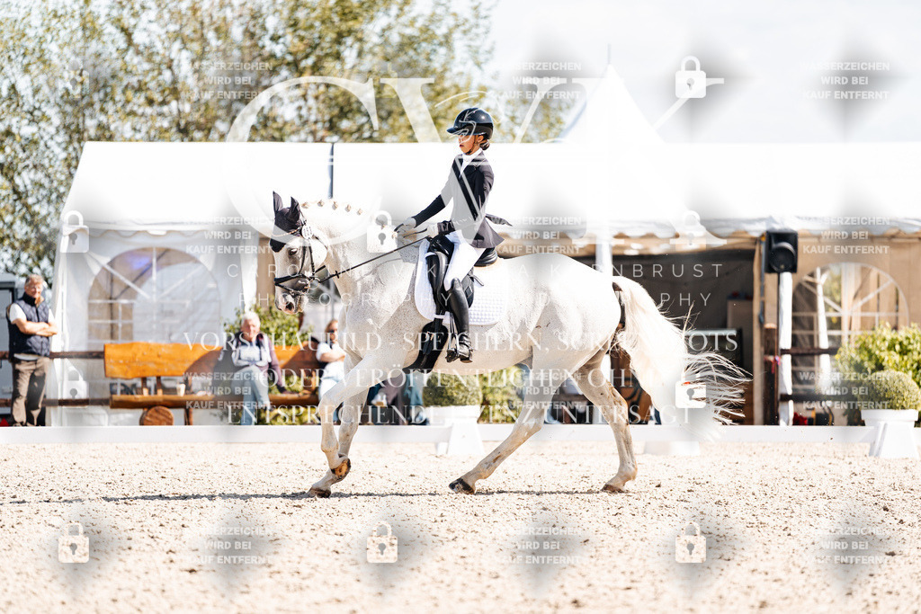 CK902957 | Turnierfotografie Pferdefotografie Trier Rheinland-Pfalz Pferdesport Reitsport Tierfotografie Sportfotografie Pferdevideo Pferdevideografie Equestrianvideography equestrianphotography  - Realisiert mit Pictrs.com