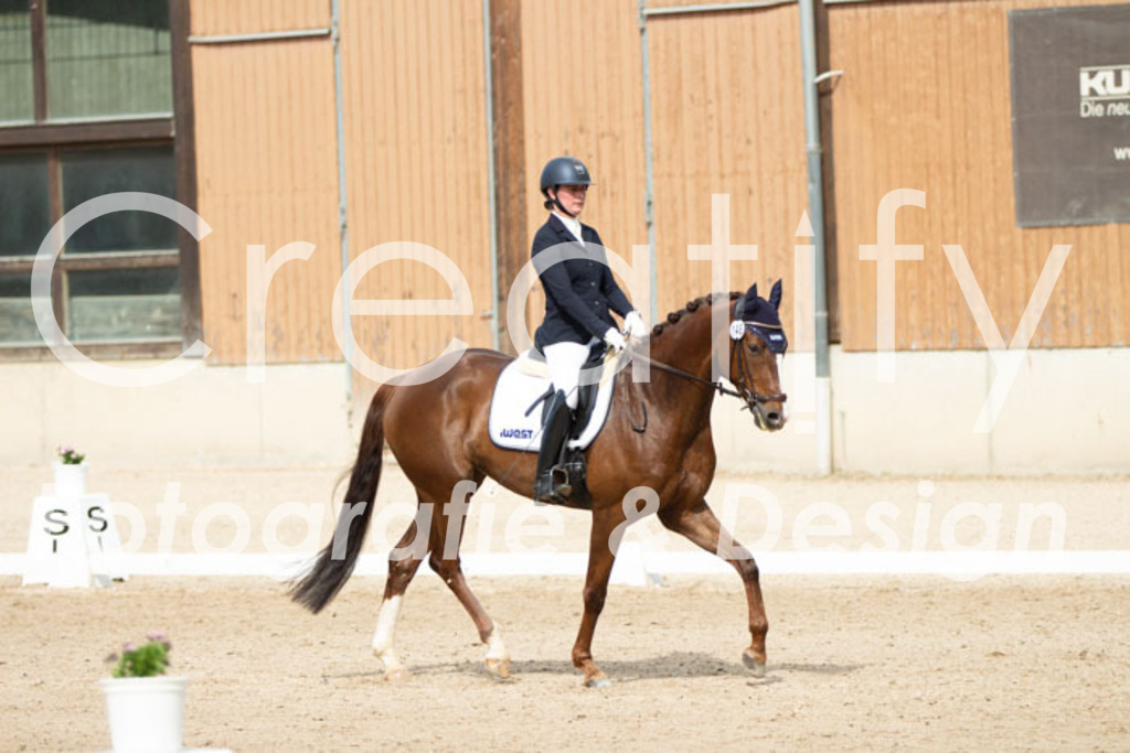 IMG_1601 | Creatify Fotografie