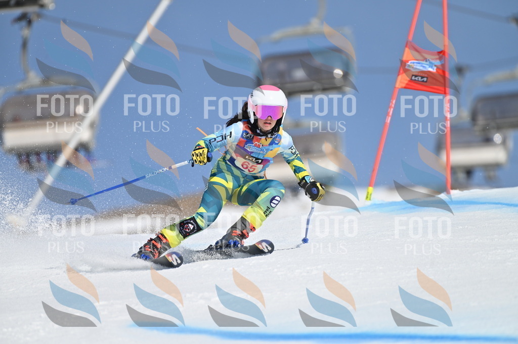 BGV_8821 | holidayphoto