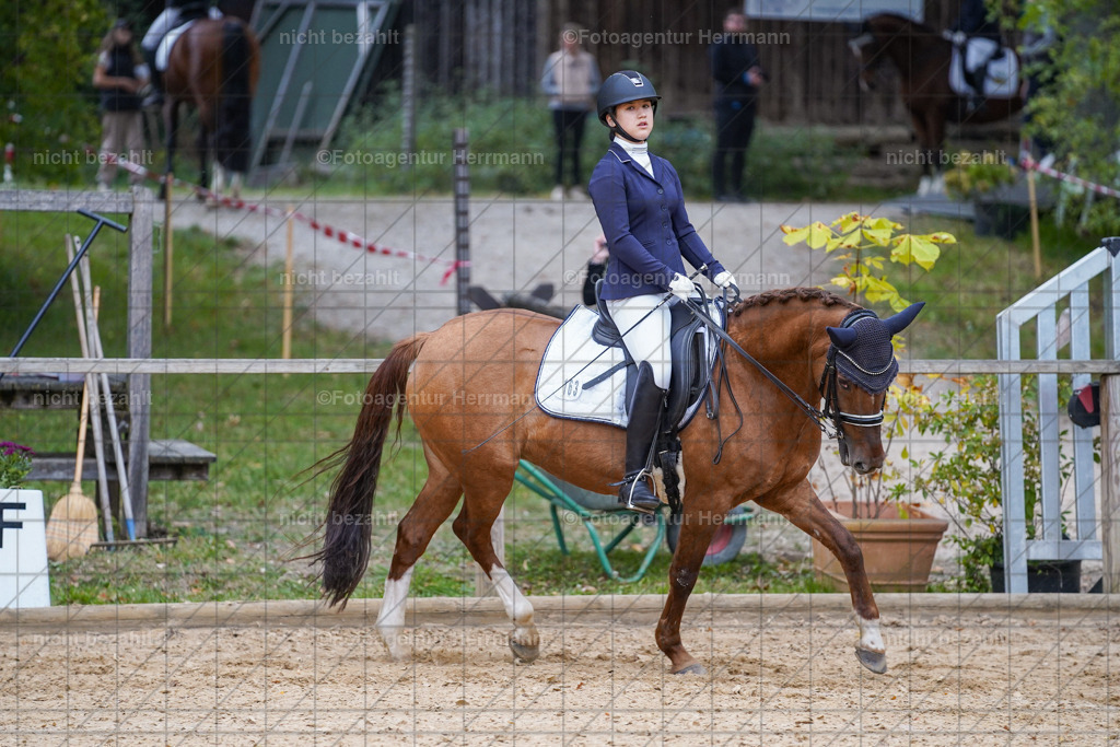 20231007-SN_00786 | Professionelle Turnier- und Reitsportfotografie - mit dem Finger am Auslöser. Pferdebilder aus dem Reitsport von den Turnierfotografen  Bayern , Pferdefotograf Bayern, Pferdeshooting Turnierbilder, Hochzeitsfotograf, Eventfotograf, Hochzeitsbilder