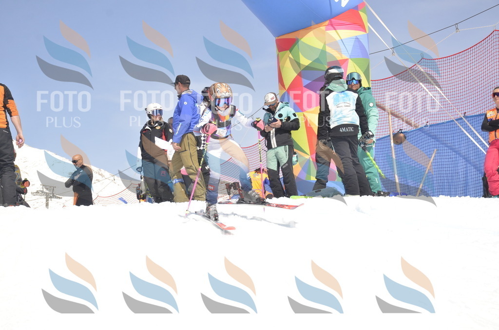 _ELE9484 | holidayphoto