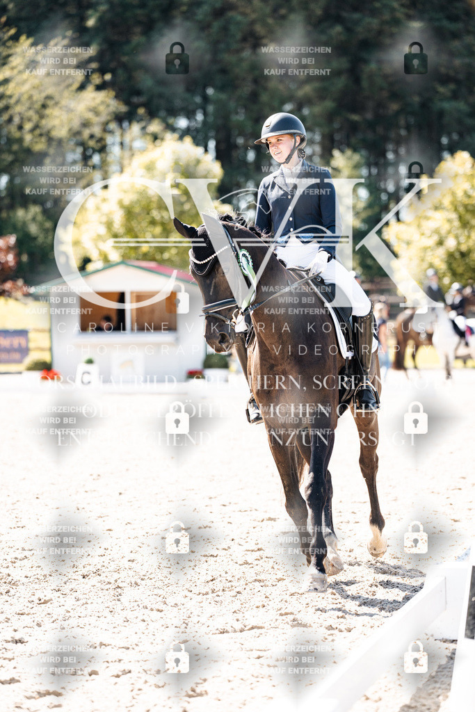 CK904203 | Turnierfotografie Pferdefotografie Trier Rheinland-Pfalz Pferdesport Reitsport Tierfotografie Sportfotografie Pferdevideo Pferdevideografie Equestrianvideography equestrianphotography  - Realisiert mit Pictrs.com