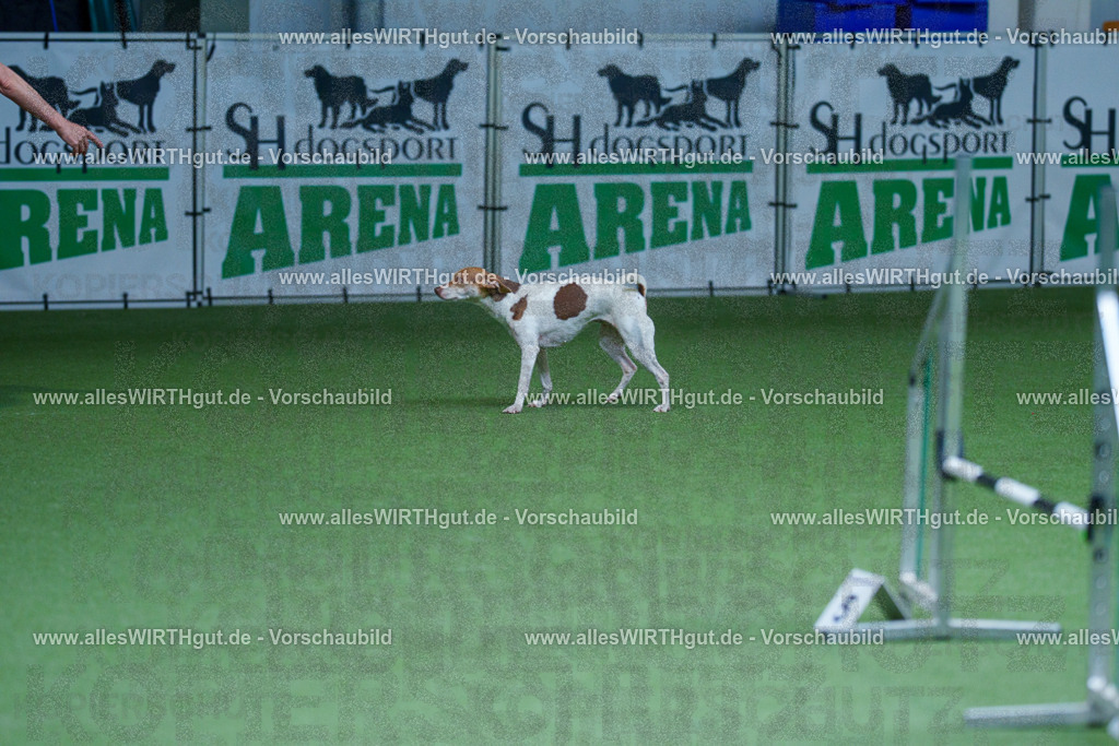 @allesWIRTHgut_Tierfotografie - www.allesWIRTHgut.de - 2604251254-7R503049 | Professionelle Tierfotografie in Mönchengladbach von Daniel Wirth (allesWIRTHgut). Liebevolle & natürliche Bilder von Hunden & Katzen für unvergessliche Erinnerungen.