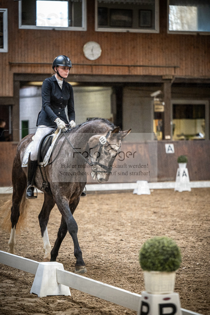 DOS_1116 | Entdecke hochwertige Reitturnierfotos von Foto Oger. Professionell, emotional und authentisch – jetzt Lieblingsmomente im Shop bestellen.Deutschlandweite Turnierfotografie. - Realisiert mit Pictrs.com