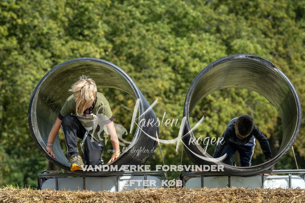 1341_ZZ94257 | kk-dogfotos