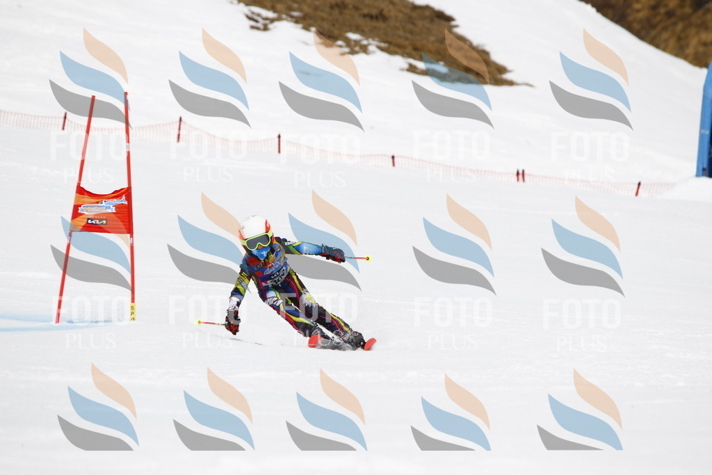 _U3G7463 | holidayphoto