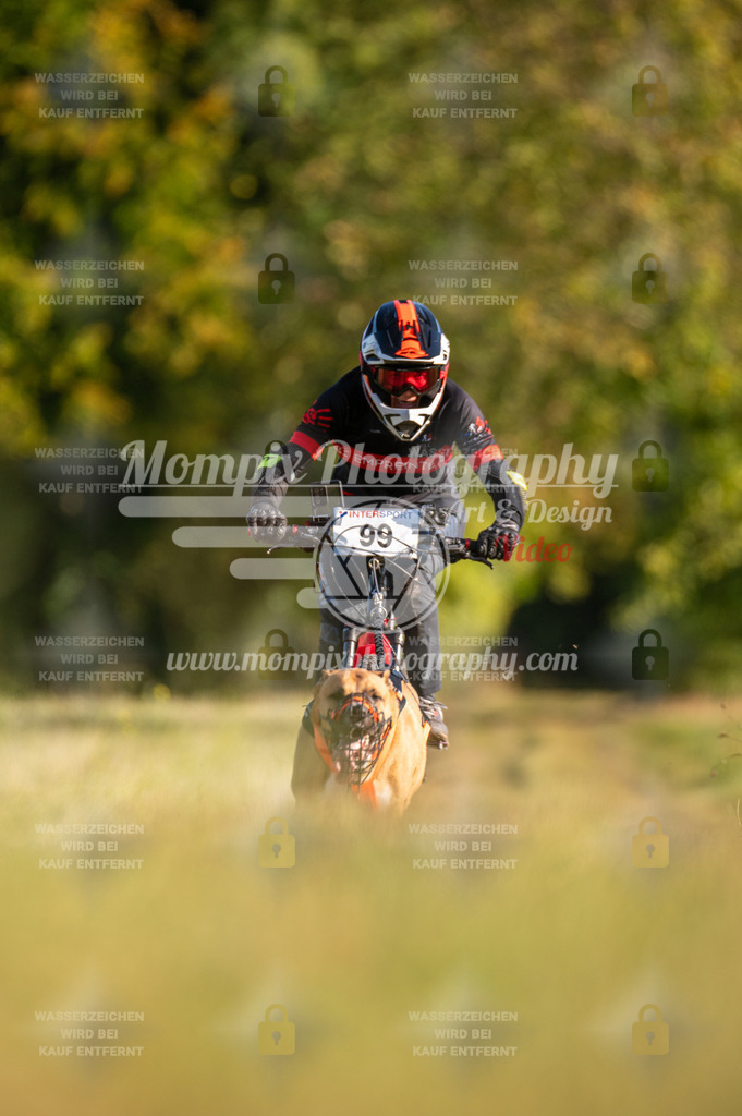 CDLBDB_15_10_2023_Dimanche-249 | PayLife