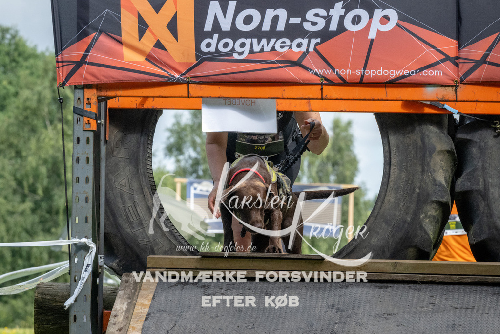 1136_ZZ92686 | kk-dogfotos