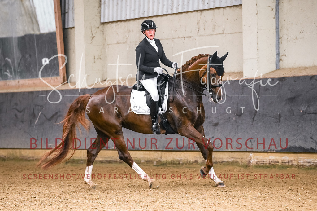Schugtsche-Aluta25-56.Dressurprf.L1Kand.-100 | Schugtsche Fotografie - Realisiert mit Pictrs.com