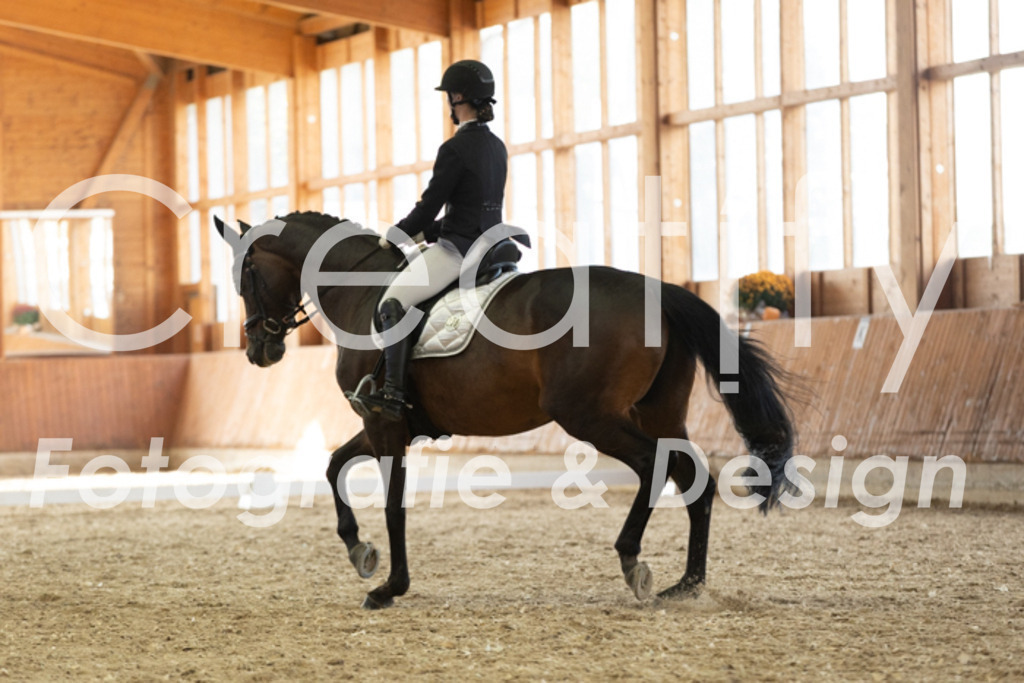 IMG_3360 | Creatify Fotografie