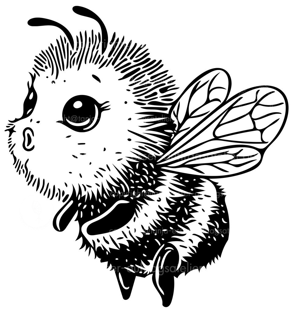 Niedliche Biene zum Ausmalen oder als Sticker | Niedliche flauschige Biene mit überraschtem Gesichtsausdruck als Outline Illustration, isoliert auf weißem Hintergrund.