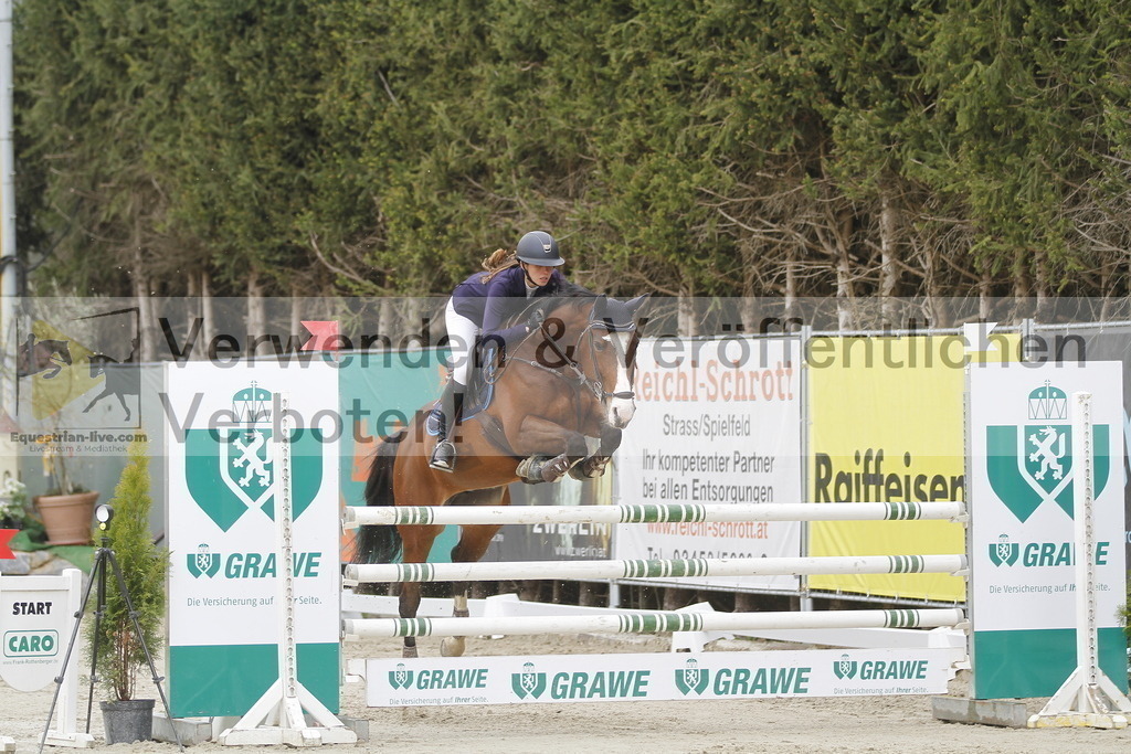 _MG_2768 | equestrian-live-com