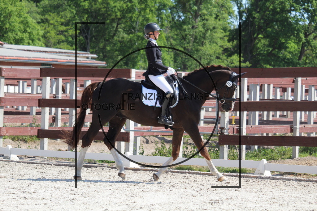 IMG_3517 | franziskalange - Realisiert mit Pictrs.com