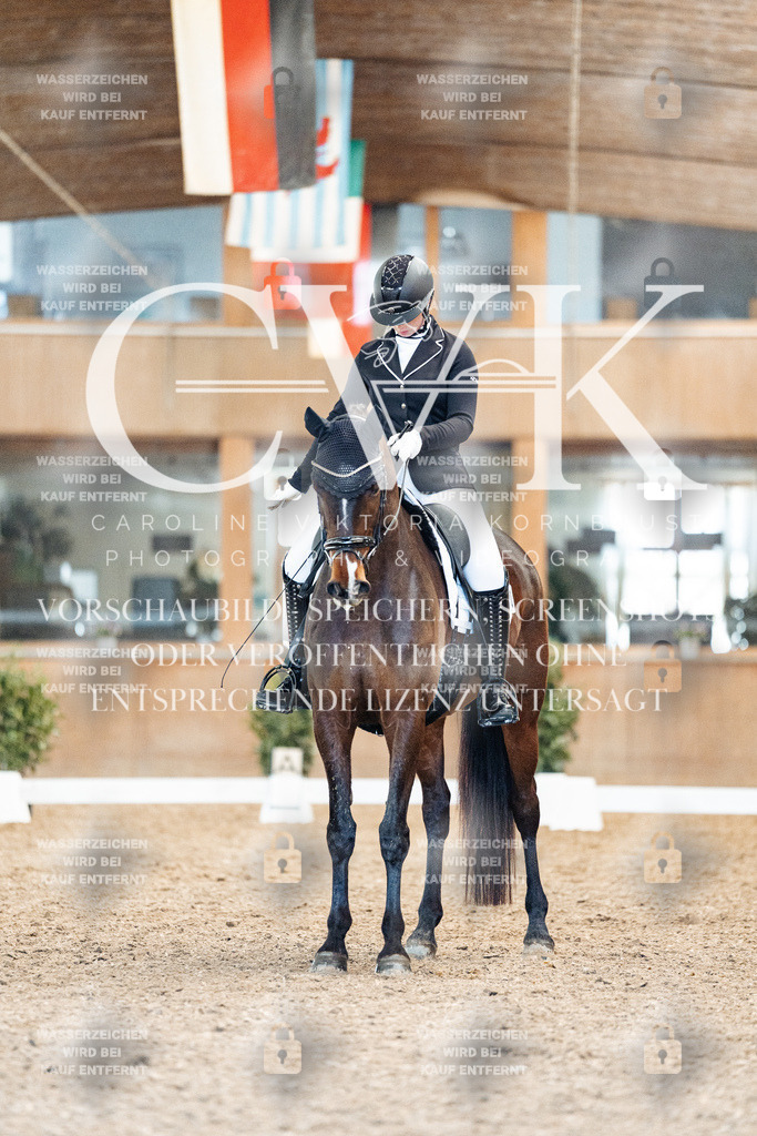 CK908765 | Turnierfotografie Pferdefotografie Trier Rheinland-Pfalz Pferdesport Reitsport Tierfotografie Sportfotografie Pferdevideo Pferdevideografie Equestrianvideography equestrianphotography  - Realisiert mit Pictrs.com