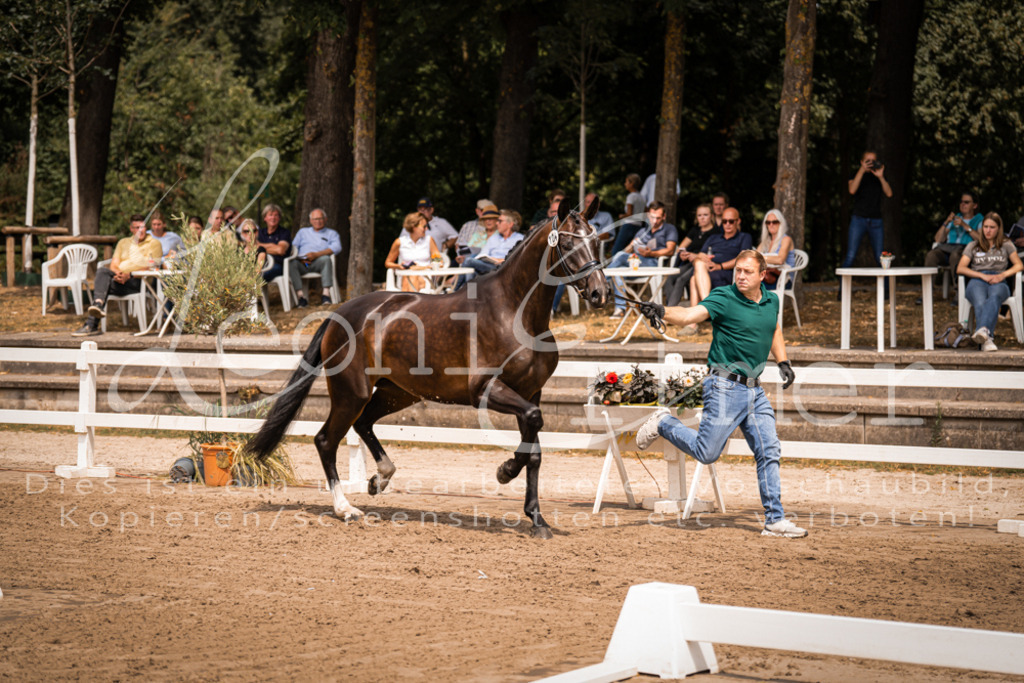 2. Fr00087 | Leoni Ertmer Photography - Realisiert mit Pictrs.com