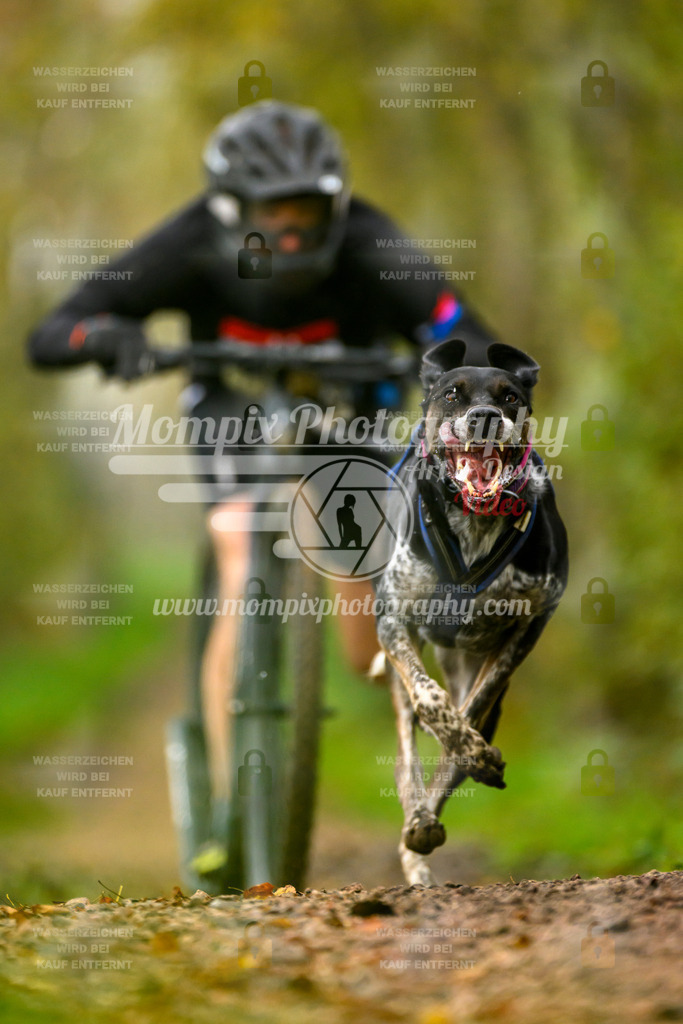 MompixPhotography_20TSB_E6_DS1-21 | PayLife