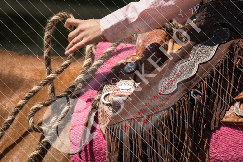 IMG_0660 | Sport-, Event- und Tierfotos in Profiqualität. Einfach auswählen, bestellen und herunterladen. Dein Moment – perfekt festgehalten.