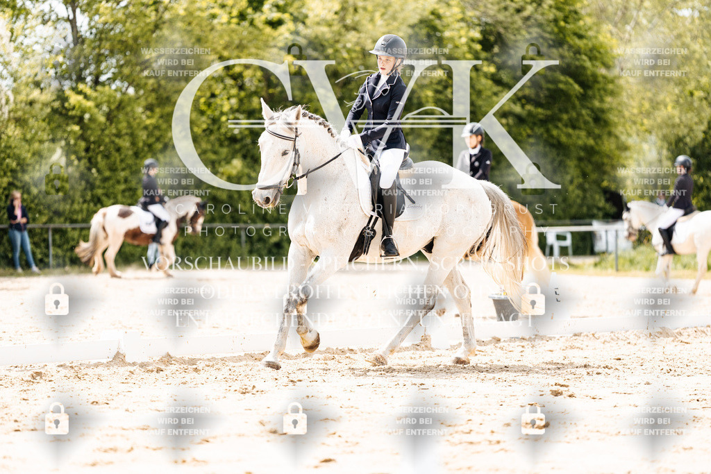 CK902090 | Turnierfotografie Pferdefotografie Trier Rheinland-Pfalz Pferdesport Reitsport Tierfotografie Sportfotografie Pferdevideo Pferdevideografie Equestrianvideography equestrianphotography  - Realisiert mit Pictrs.com