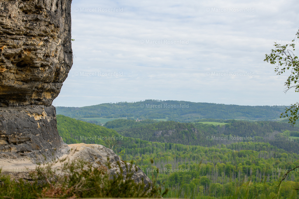 _DSC4979 | foto-rosenfeld