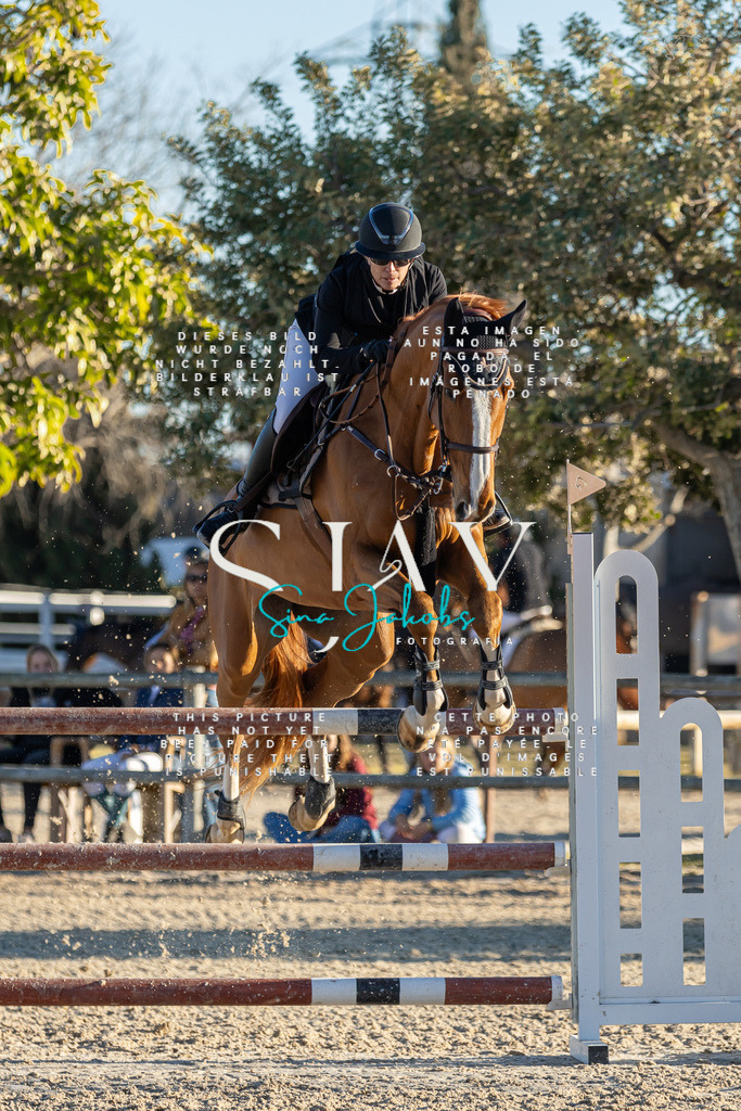 IMG_2512 | s-jay-photography - Realisiert mit Pictrs.com