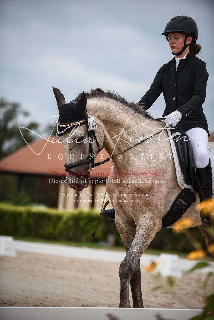 DSC_8222 | Pferde- und Turnierfotografie in Westsachsen. Pferdeportraits, Auftragszeichnungen und intuitive Kunst.