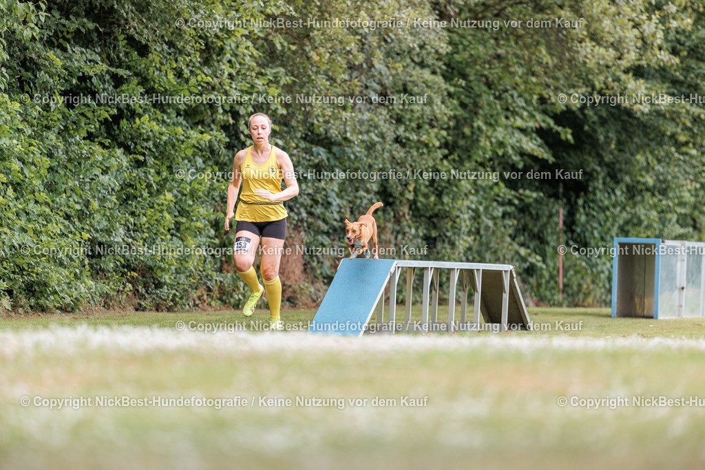 THS-Quakenbrück-2026-Nickbest-Hundefotografie-4603 | Dein Hund! Dein Moment! Deine Erinnerungen! Hundefotografie in Bremen Blumenthal. Ich fange die besonderen Momente deines Vierbeiners ein – ob Indoor mit Blitzanlage oder in der freien Natur. Sicher dir dein Moment und dein Termin für eure Erinnerungen.