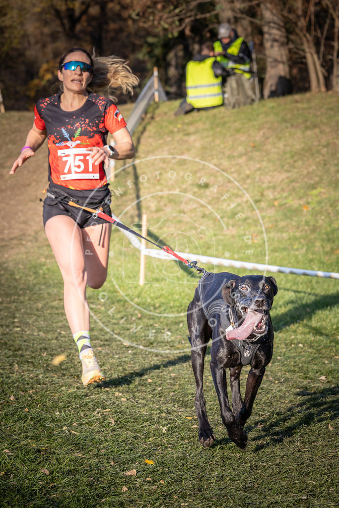 CaniXpix_0L8A9864 | Hundefotografie, Tierfotograf, Pfotenfotografie, Fotoshooting Hund, Hunde Portrait, Hundesport, Hundeportraits, Heideshooting, Hunde, Sportfotograf, Hundefotograf, Turnierhundsport, THS,  - Realisiert mit Pictrs.com