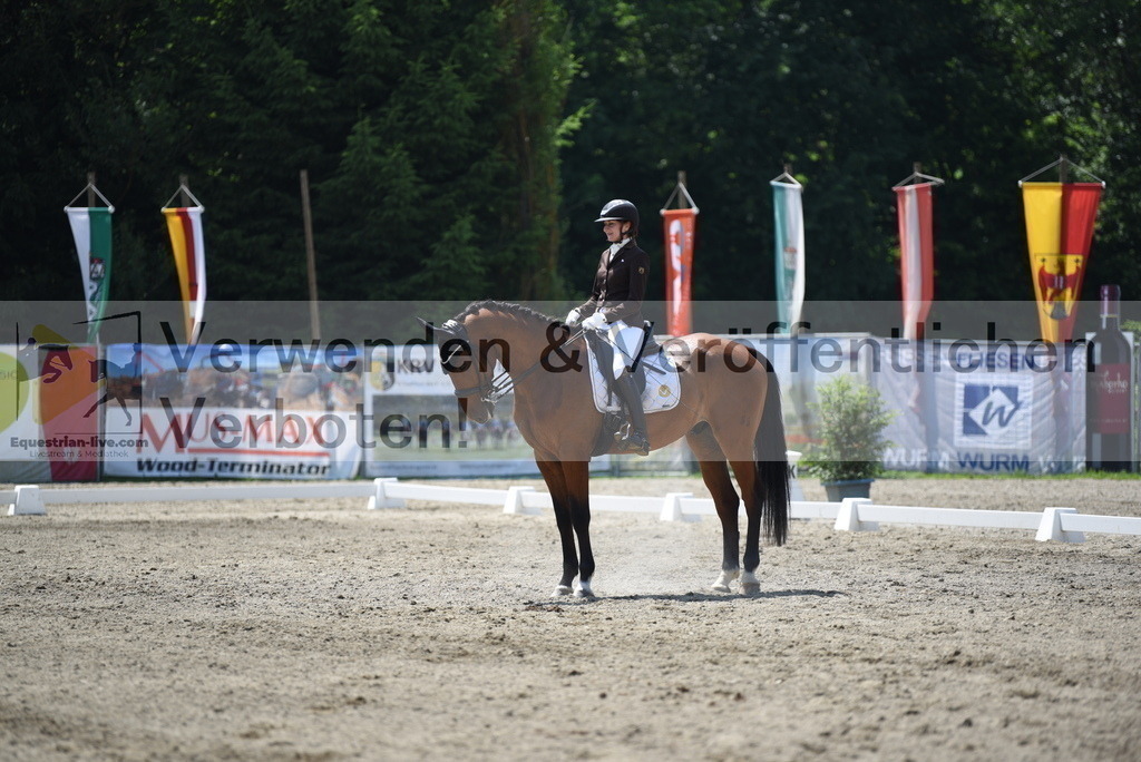 DSC_1117 | equestrian-live-com