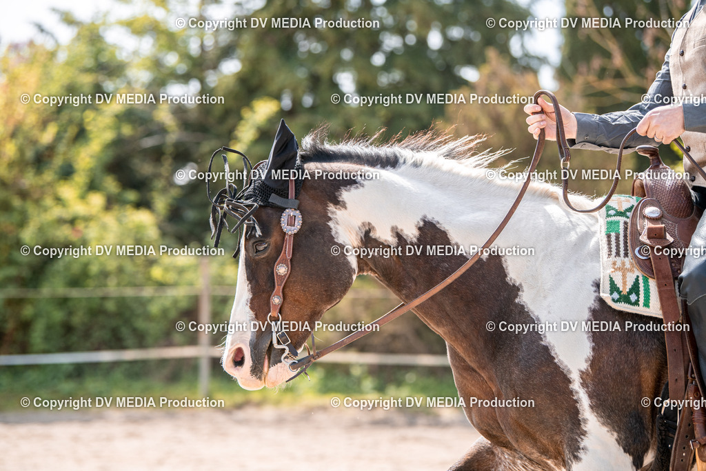 Balingen Tag 3-489 | dv-media-shop - Realisiert mit Pictrs.com