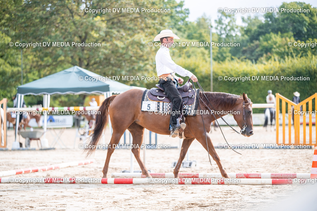 ZS3_4909 | dv-media-shop - Realisiert mit Pictrs.com