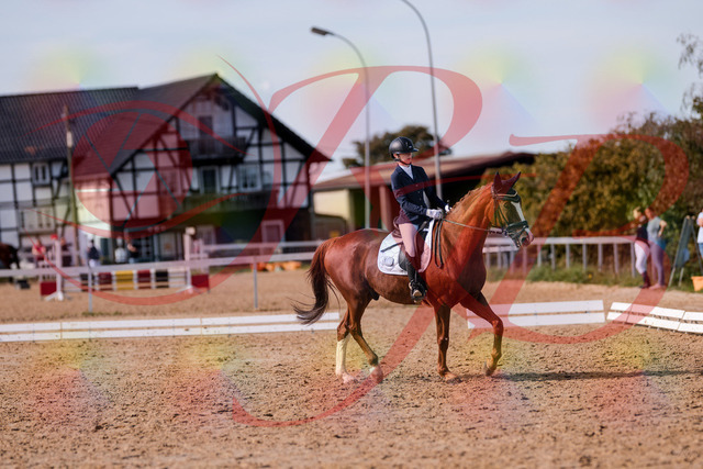 2026_10_03_Siefer-Hof_133156_Z81_87540895 | Professionelle Reitsport-, Turnier- und Eventfotografie von Robert Broda. Galerien mit ausgewählten und bearbeiteten Bildern direkt online ansehen und bestellen.