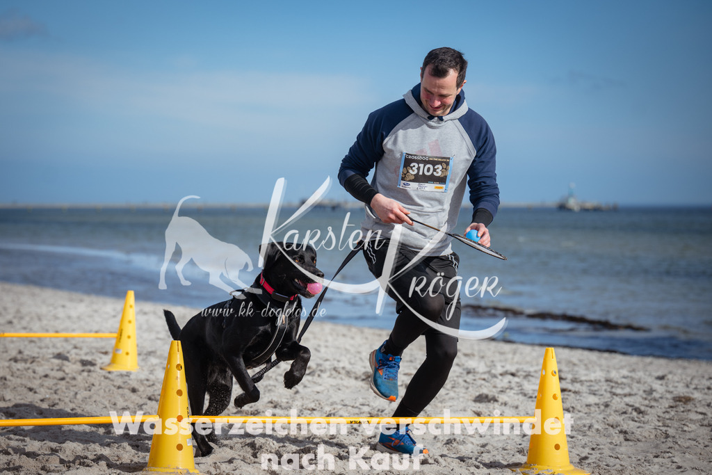 1322_ZZ91427 | kk-dogfotos