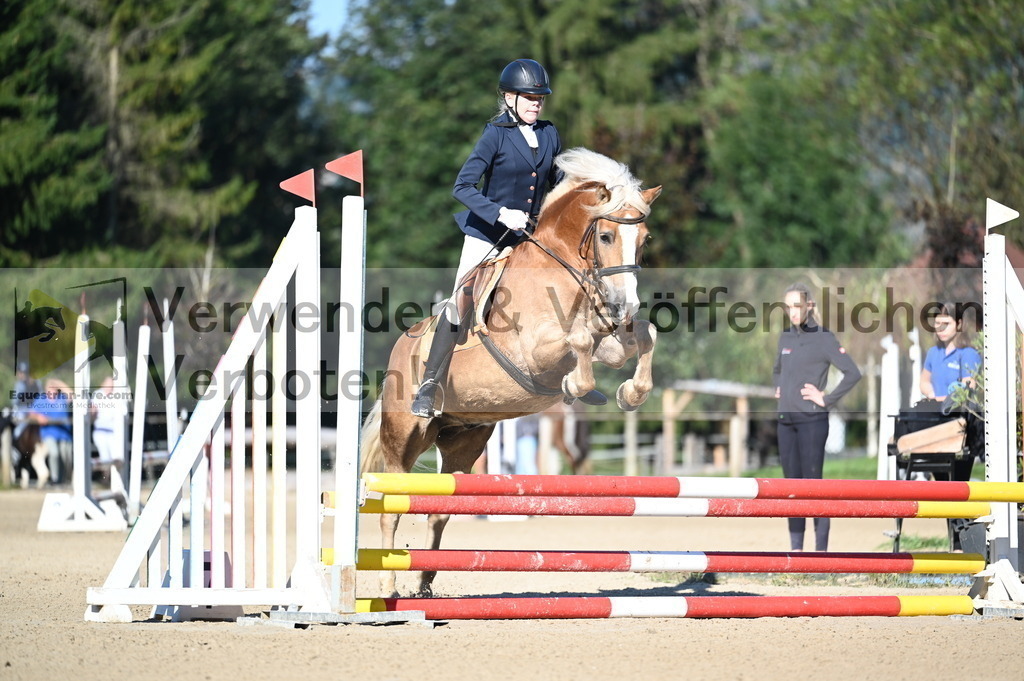 DSC_7823 | equestrian-live-com