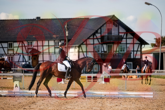 2026_10_03_Siefer-Hof_130501_Z63_68259025 | Professionelle Reitsport-, Turnier- und Eventfotografie von Robert Broda. Galerien mit ausgewählten und bearbeiteten Bildern direkt online ansehen und bestellen.