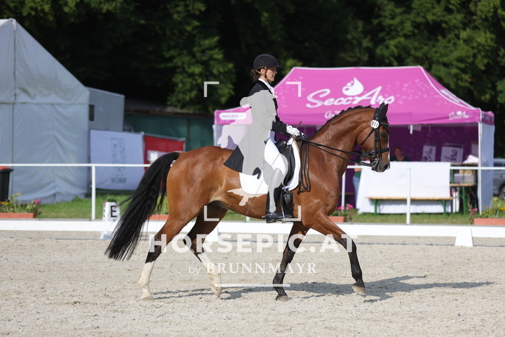 0P6A7074 | Willkommen bei Brunnmayr - Design & Fotografie – Ihrem Spezialisten für Reitturniere und Pferdeveranstaltungen in Oberösterreich, Salzburg und Bayern! Seit über 17 Jahren sind wir leidenschaftlich dabei.