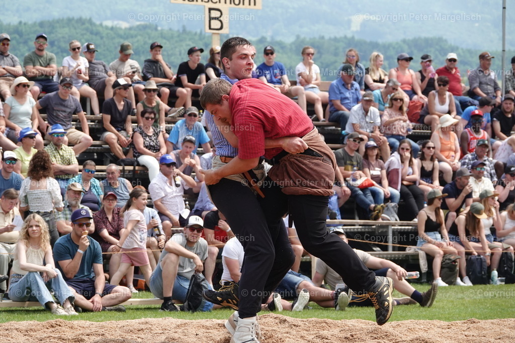 DSC04601 | Schwingen - Realisiert mit Pictrs.com