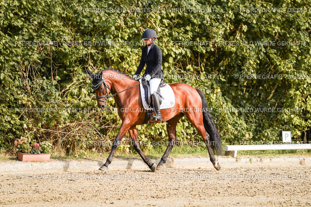 DSC04735 | Pferdegrafie