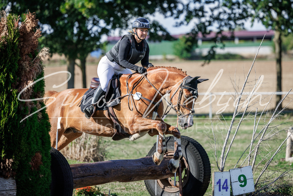 20260905-_3LI0386 | Tierfotografie Pferde, Hunde, Katzen, Haustiere.
Turnierfotografie Reitturniere, Reiten, Springreiten, Dressur in Hanau, dem Main-Kinzig-Kreis und dem Rhein-Main- Gebiet um Frankfurt