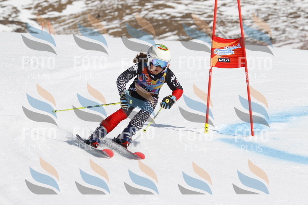 _U3G0944 | holidayphoto