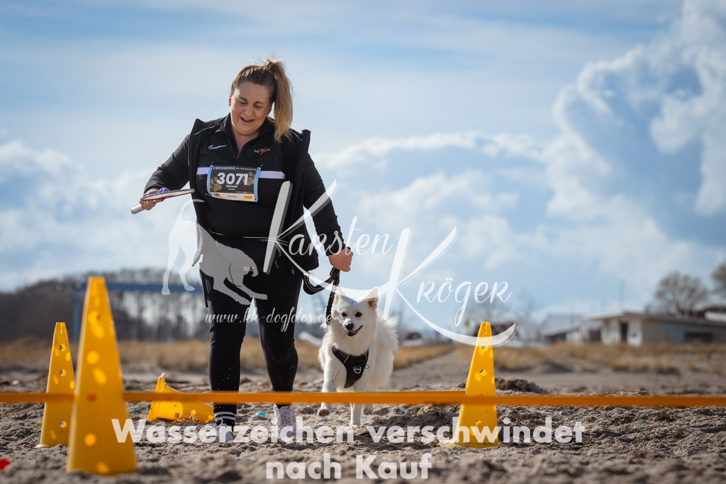 1313_ZZ90847 | kk-dogfotos
