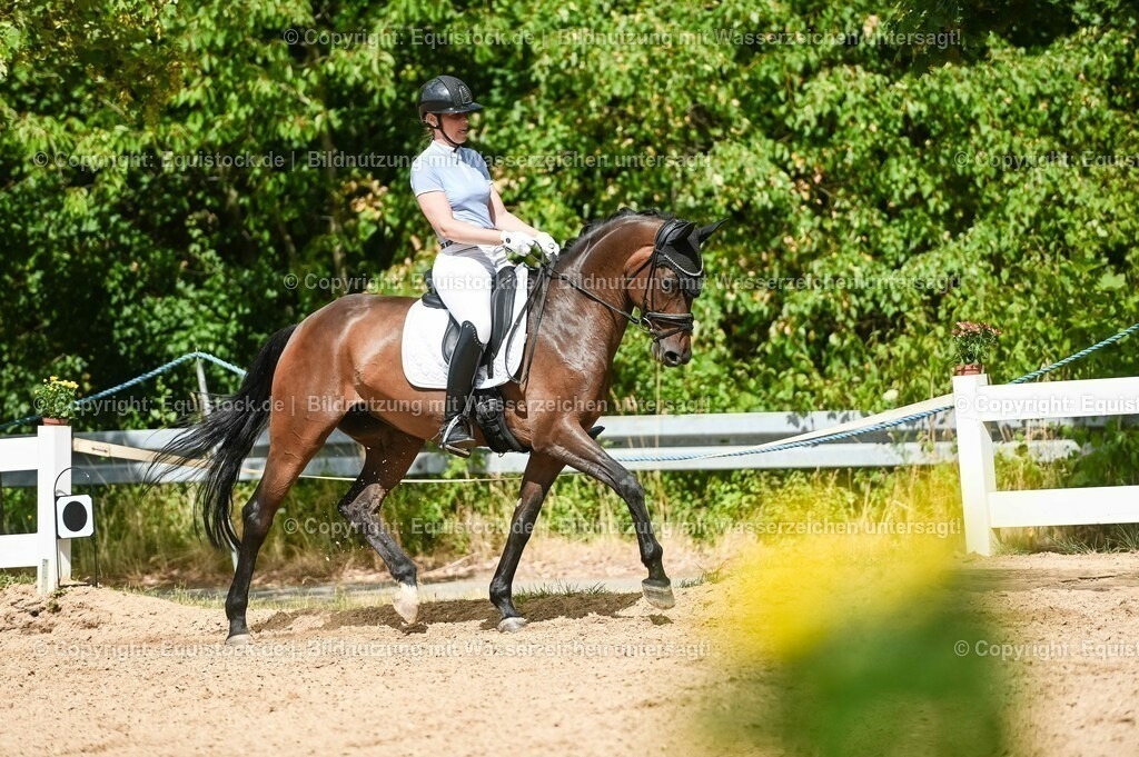 20230715_02_Dressurreiterprüfung Kl.L_0400 | equistock