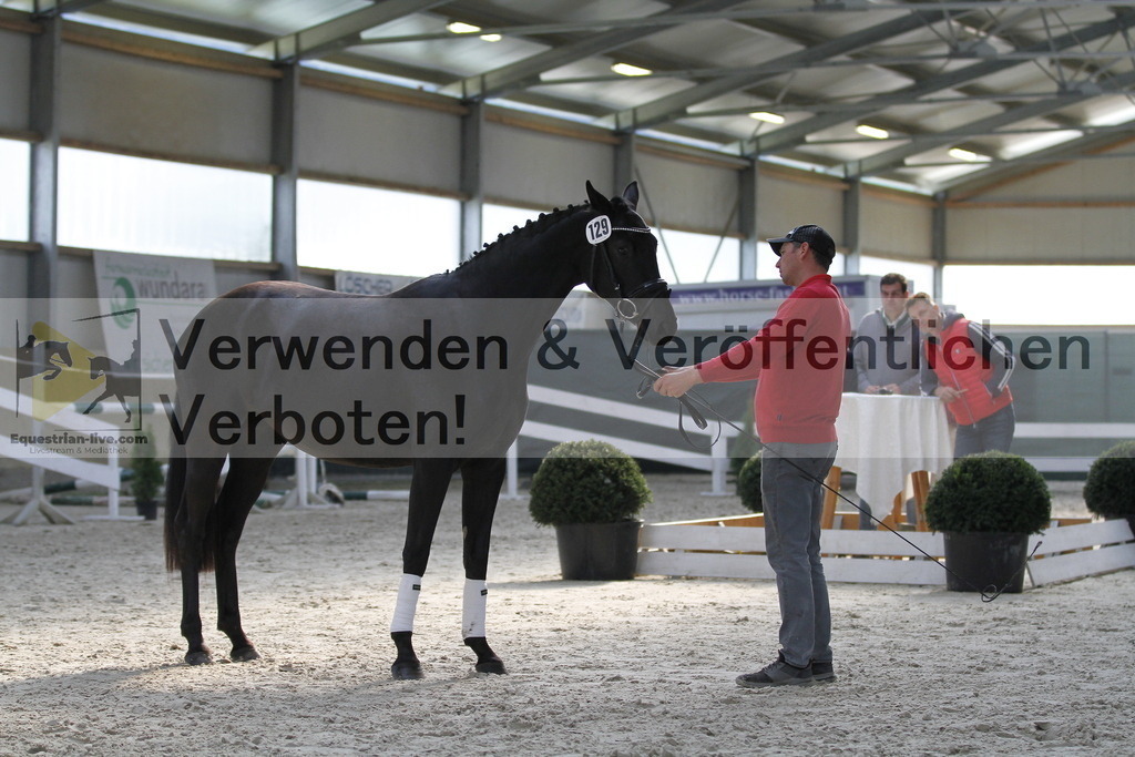 _MG_9812 | equestrian-live-com