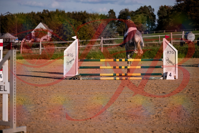 2026_10_03_Siefer-Hof_171404_Z81_11398278 | Professionelle Reitsport-, Turnier- und Eventfotografie von Robert Broda. Galerien mit ausgewählten und bearbeiteten Bildern direkt online ansehen und bestellen.