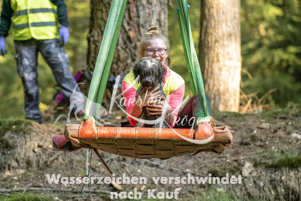 0938_ZZ91334-Bearbeitet | kk-dogfotos