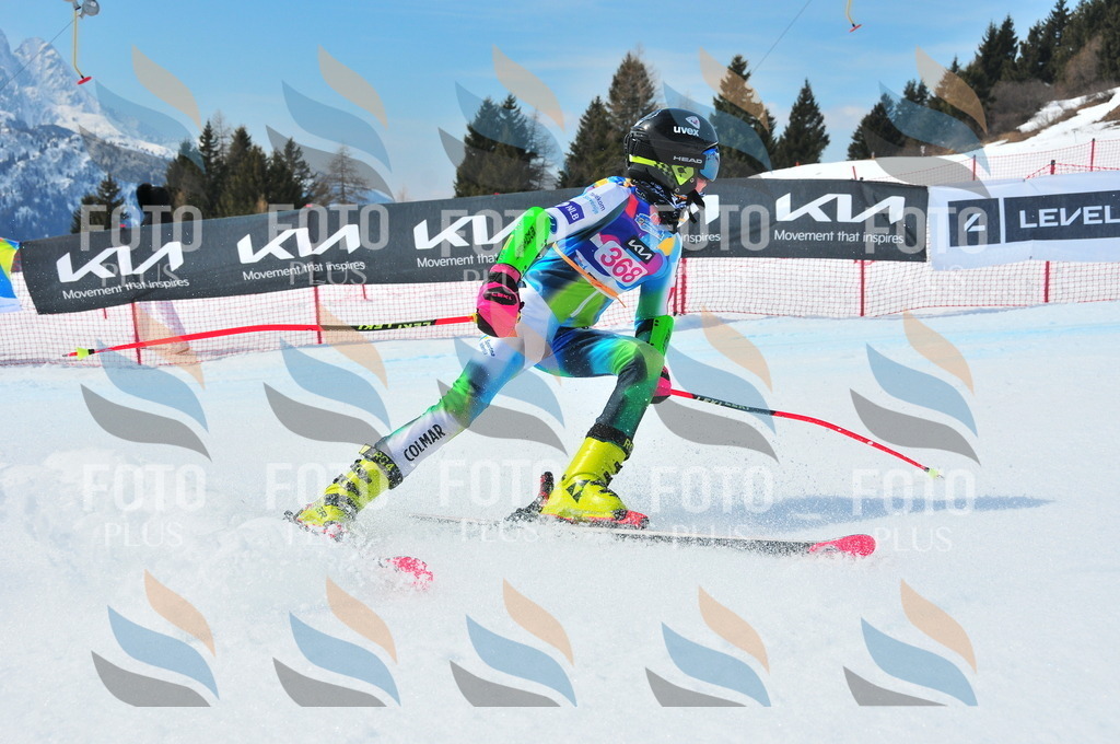 DSC_7117 | holidayphoto