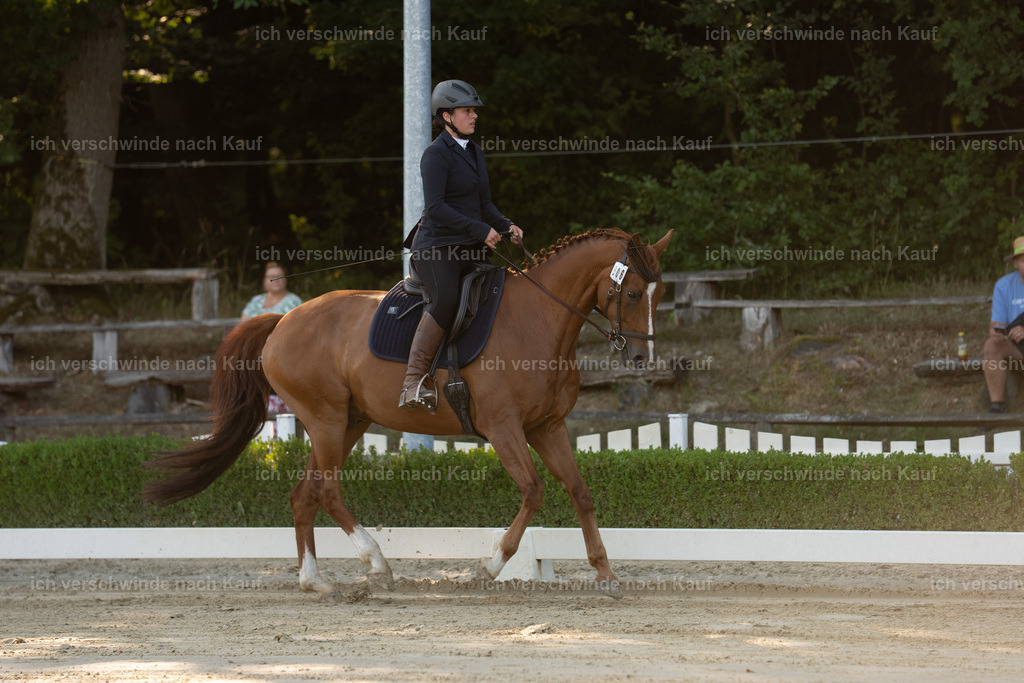 WA_DR_64_SinaFilmArt_IN00072 | working equitationturnier fotograf videograf stoibphotography marixx film working equitation deutschland reitsport turnierfotografie eventfotografie equestrian events