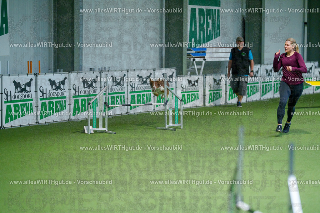 @allesWIRTHgut_Tierfotografie - www.allesWIRTHgut.de - 2604250811-7R505637 | Professionelle Tierfotografie in Mönchengladbach von Daniel Wirth (allesWIRTHgut). Liebevolle & natürliche Bilder von Hunden & Katzen für unvergessliche Erinnerungen.