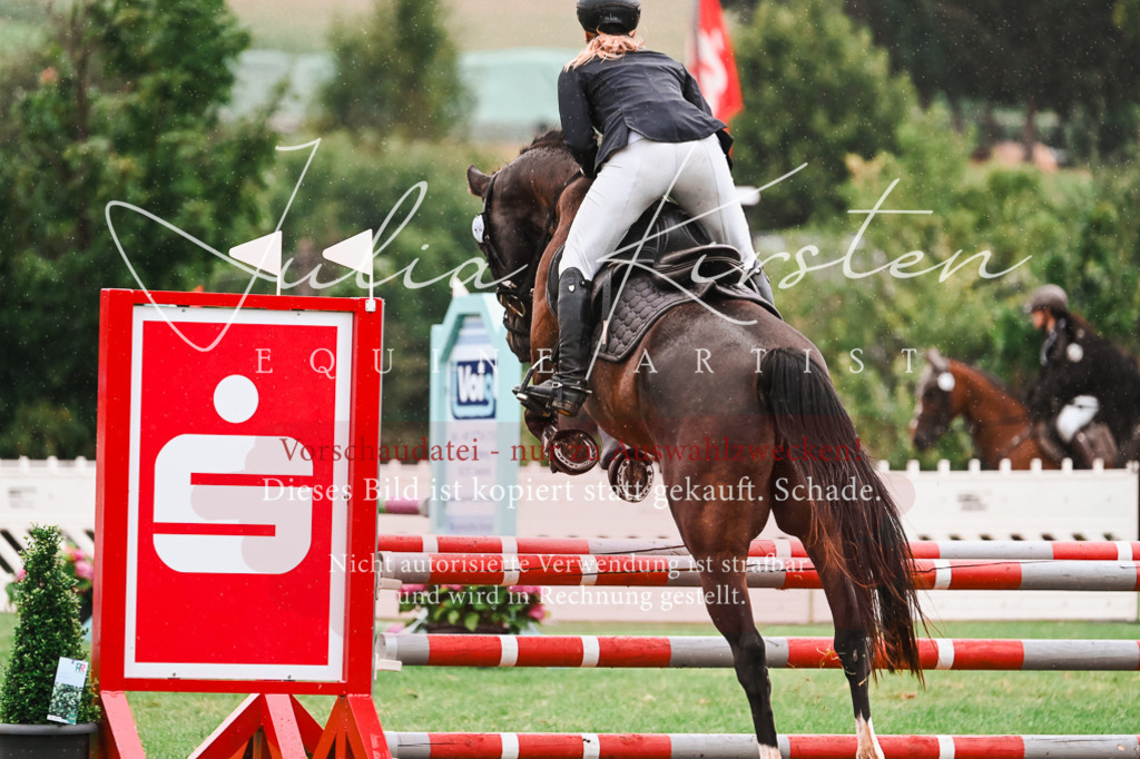 DSC_6416 | Pferde- und Turnierfotografie in Westsachsen. Pferdeportraits, Auftragszeichnungen und intuitive Kunst.