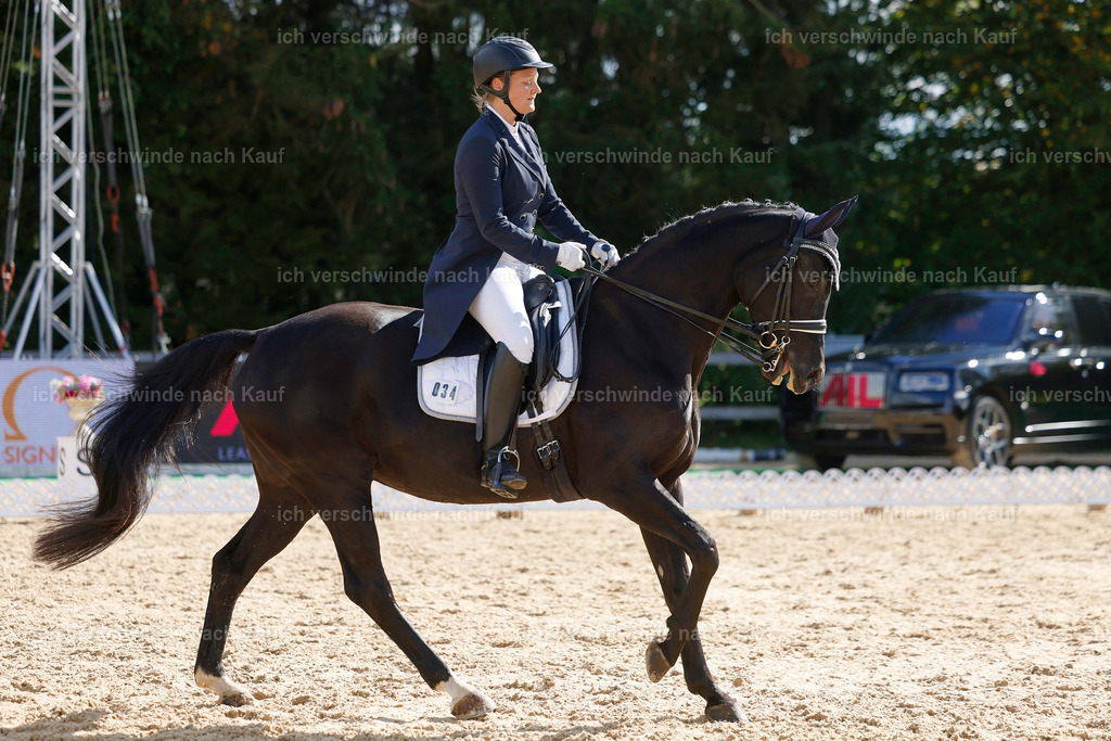 09_2-034-DRESSUR  S_  -StoibPH-5824 | working equitationturnier fotograf videograf stoibphotography marixx film working equitation deutschland reitsport turnierfotografie eventfotografie equestrian events